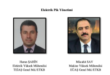 Elektrik Pik Yönetimi