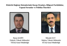 Elektrik Dağıtım Sistemlerinde Kayıp Oranları, Bölgesel Farklılıklar, Yapısal Sorunlar ve Politika Önerileri